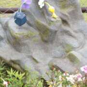 ヒメ日記 2025/06/16 07:23 投稿 みお ミセスコレクション