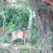 ヒメ日記 2025/06/16 10:43 投稿 みお ミセスコレクション