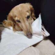 ヒメ日記 2025/06/17 08:53 投稿 みお ミセスコレクション