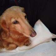 ヒメ日記 2025/06/18 09:53 投稿 みお ミセスコレクション