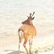 ヒメ日記 2025/06/22 07:23 投稿 みお ミセスコレクション