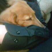 ヒメ日記 2025/06/24 17:03 投稿 みお ミセスコレクション