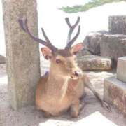 ヒメ日記 2025/07/05 07:33 投稿 みお ミセスコレクション