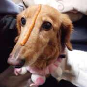 ヒメ日記 2025/07/10 02:53 投稿 みお ミセスコレクション