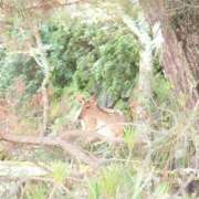ヒメ日記 2025/07/14 11:53 投稿 みお ミセスコレクション