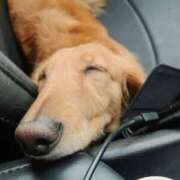 ヒメ日記 2025/07/19 01:53 投稿 みお ミセスコレクション