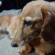 ヒメ日記 2025/07/27 09:58 投稿 みお ミセスコレクション