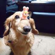 ヒメ日記 2025/07/29 07:23 投稿 みお ミセスコレクション