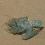 ヒメ日記 2025/08/03 14:03 投稿 みお ミセスコレクション