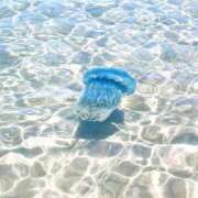 ヒメ日記 2025/08/09 00:43 投稿 みお ミセスコレクション