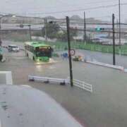 ヒメ日記 2025/08/11 21:23 投稿 みお ミセスコレクション