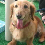 ヒメ日記 2025/08/22 03:43 投稿 みお ミセスコレクション