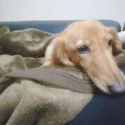 ヒメ日記 2025/08/31 07:03 投稿 みお ミセスコレクション