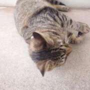 ヒメ日記 2025/09/05 02:13 投稿 みお ミセスコレクション