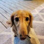 ヒメ日記 2025/09/10 03:03 投稿 みお ミセスコレクション