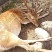 ヒメ日記 2025/09/19 15:53 投稿 みお ミセスコレクション