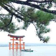 ヒメ日記 2025/11/11 16:43 投稿 みお ミセスコレクション