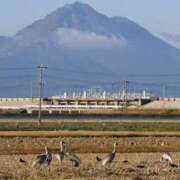 ヒメ日記 2025/12/02 03:13 投稿 みお ミセスコレクション