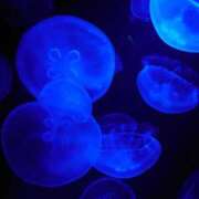 ヒメ日記 2025/12/16 04:03 投稿 みお ミセスコレクション