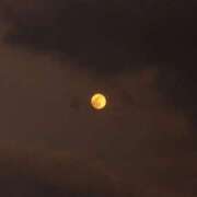 ヒメ日記 2026/02/06 00:47 投稿 みお ミセスコレクション