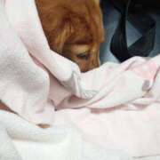 ヒメ日記 2026/02/09 10:23 投稿 みお ミセスコレクション