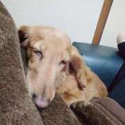 ヒメ日記 2026/02/12 23:13 投稿 みお ミセスコレクション