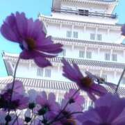 ヒメ日記 2026/02/18 10:33 投稿 みお ミセスコレクション