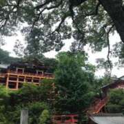 ヒメ日記 2026/04/03 10:33 投稿 みお ミセスコレクション