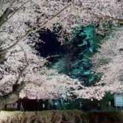 ヒメ日記 2026/04/05 10:14 投稿 みお ミセスコレクション