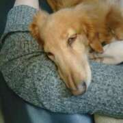 ヒメ日記 2026/04/14 09:15 投稿 みお ミセスコレクション