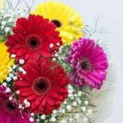 ヒメ日記 2025/04/12 16:53 投稿 つばさ ミセスコレクション