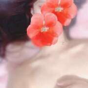 ヒメ日記 2024/12/11 12:16 投稿 しのぶ リップサロン VOGUE ヴォーグ