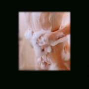 ヒメ日記 2024/12/27 20:47 投稿 しのぶ リップサロン VOGUE ヴォーグ