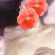 ヒメ日記 2025/03/13 19:28 投稿 しのぶ リップサロン VOGUE ヴォーグ