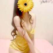 ヒメ日記 2025/04/30 13:34 投稿 しのぶ リップサロン VOGUE ヴォーグ