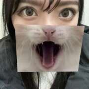 ヒメ日記 2025/03/04 19:18 投稿 山本　みゆう NADIA東京新橋店