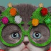 かりな 🍎 池袋角海老