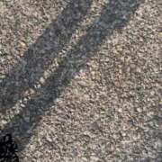 ヒメ日記 2025/11/27 15:51 投稿 りな 石川小松ちゃんこ