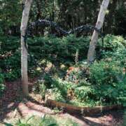 ヒメ日記 2025/05/28 20:15 投稿 なごみ AVANCE福岡