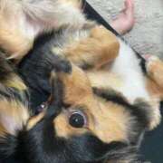 ヒメ日記 2025/06/16 06:45 投稿 なごみ AVANCE福岡