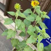 ヒメ日記 2025/07/03 13:15 投稿 なごみ AVANCE福岡