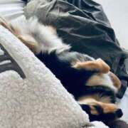 ヒメ日記 2025/07/08 23:01 投稿 なごみ AVANCE福岡