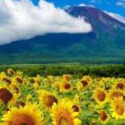 ヒメ日記 2025/07/23 17:45 投稿 なごみ AVANCE福岡