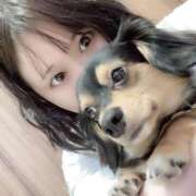 ヒメ日記 2025/07/29 14:30 投稿 なごみ AVANCE福岡