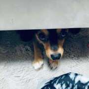 ヒメ日記 2025/08/15 09:45 投稿 なごみ AVANCE福岡