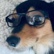 ヒメ日記 2025/08/16 20:02 投稿 なごみ AVANCE福岡