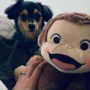 ヒメ日記 2025/09/07 18:45 投稿 なごみ AVANCE福岡