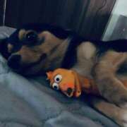 ヒメ日記 2025/09/09 09:45 投稿 なごみ AVANCE福岡