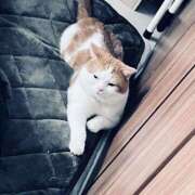 ヒメ日記 2025/10/20 22:31 投稿 なごみ AVANCE福岡