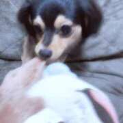 ヒメ日記 2025/11/05 01:30 投稿 なごみ AVANCE福岡